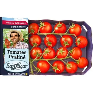 Tomate Cherry Rama Praliné Dulces y Deliciosos SAN Lucar