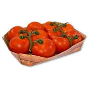 Tomate Rama
