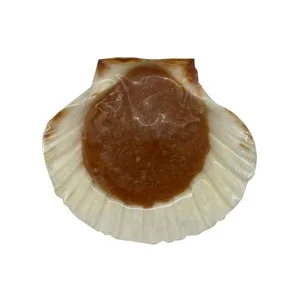 Alcampo