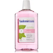 Vademecum Enjuague Bucal