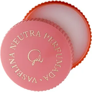 Vaselina para Labios Perfumada Gal 13 G.