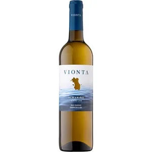 Vino Blanco Albariño DO Rías Baixas Vionta