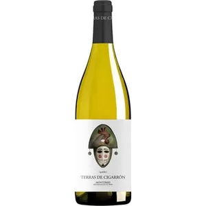 Vino Blanco Godello DO Monterrei Terras DO Cigarron