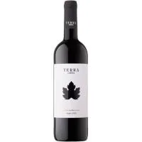 Vino Tinto D.o. Cataluña Terra Càlida, Botella 75 Cl