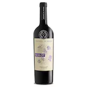 Vino Tinto Merlot Señorío de Ayerbe 75 Cl