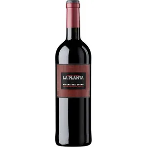 Vino Tinto Roble 6 Meses DO Ribera del Duero la Planta