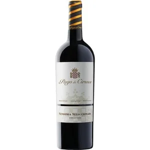 Vino Tinto Vendimia Seleccionada DO Navarra Pago de Cirsus
